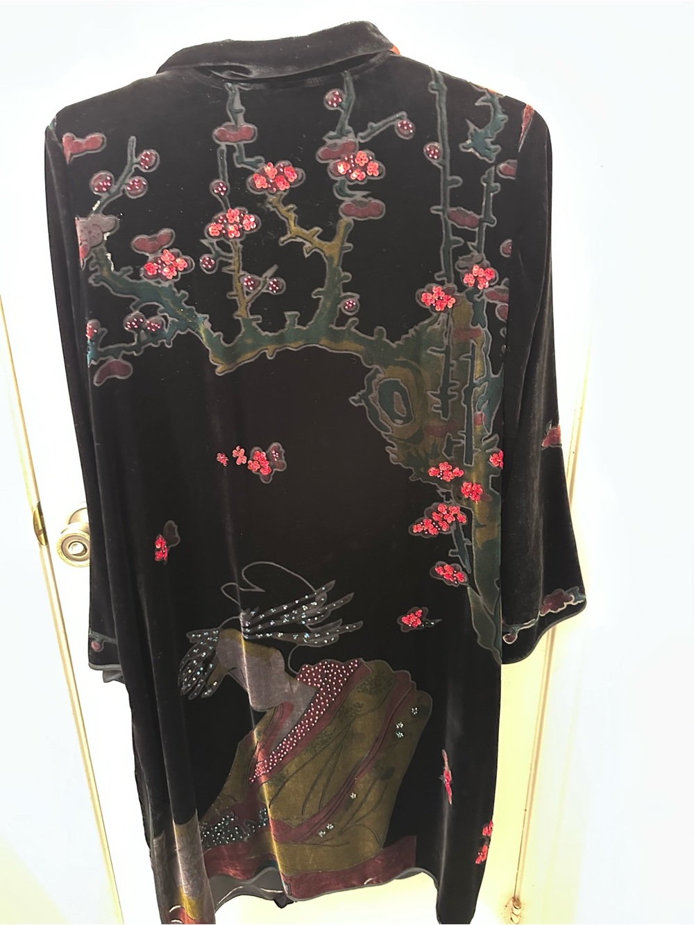 Citron Black Velvet Shirt with Red Embroidered Floral Accents - Picture 2 of 5